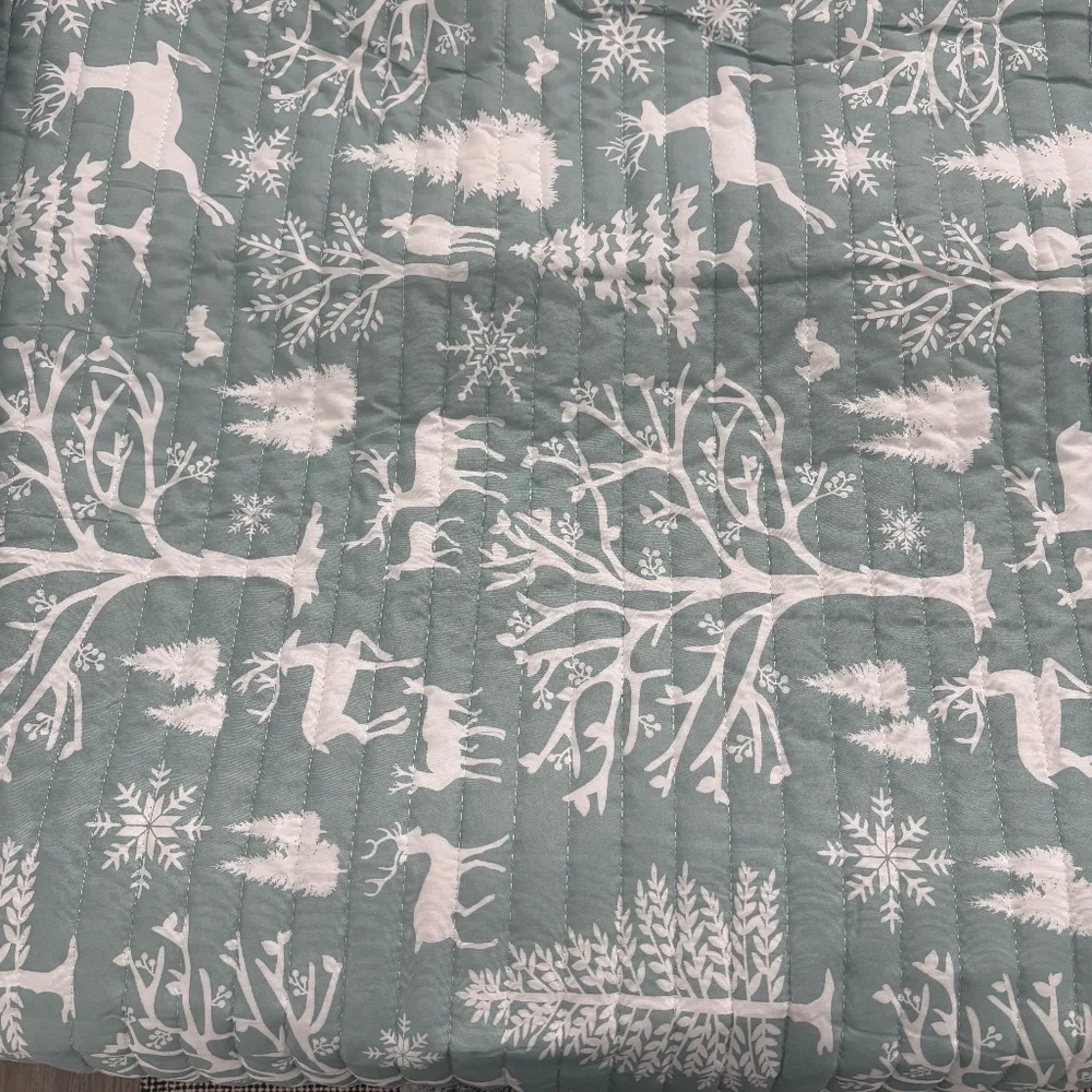 Reversible Queen Forest Dreams Beautiful Light Green REVERSIBLE NEW Final Sale